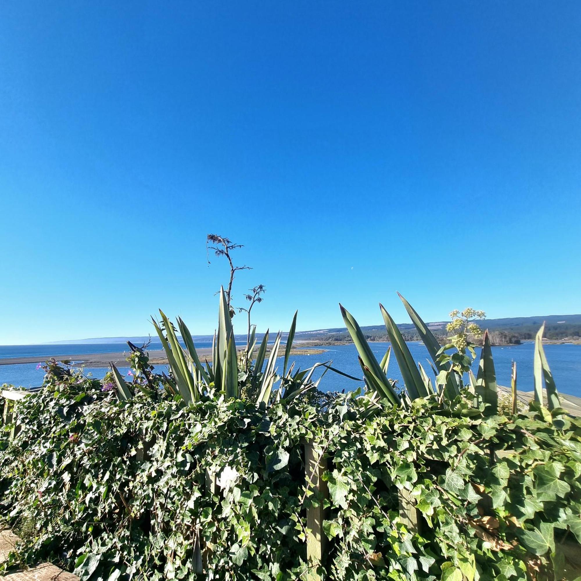 Max & Mar Pichilemu Ngoại thất bức ảnh